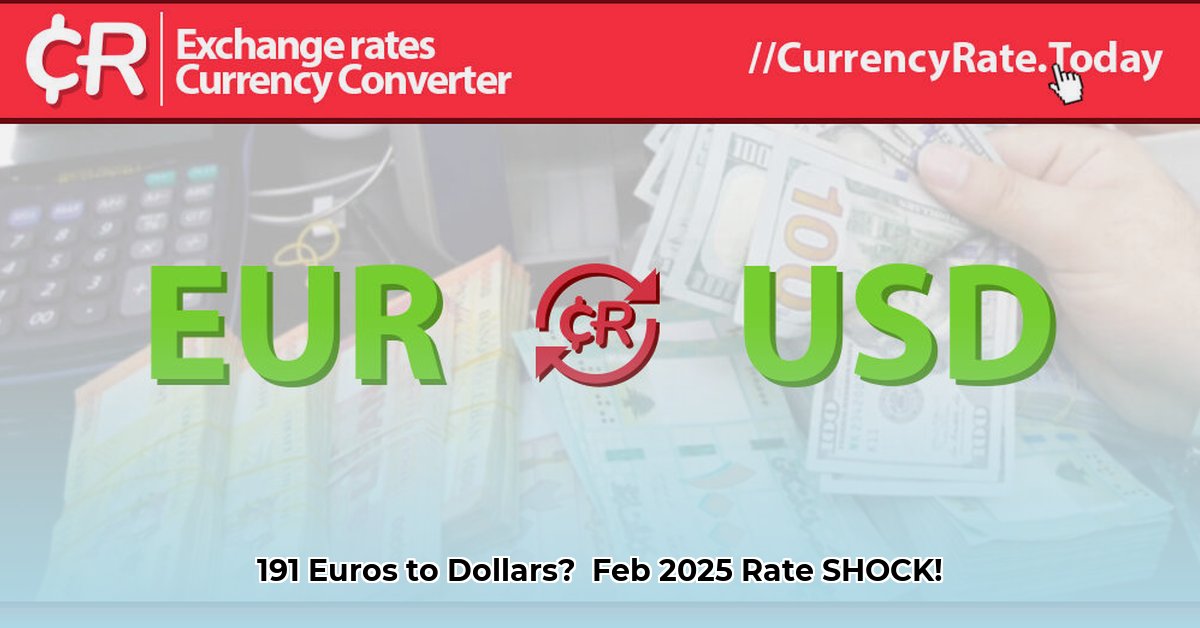 191-euros-to-dollars